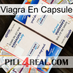 Viagra Capsule kamagra1